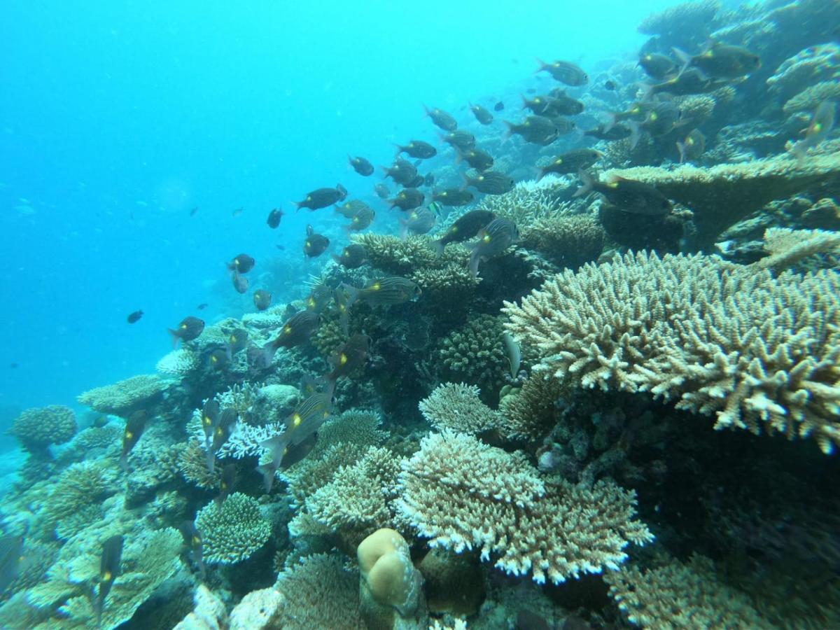 The Sky Maldives Gulhi Εξωτερικό φωτογραφία