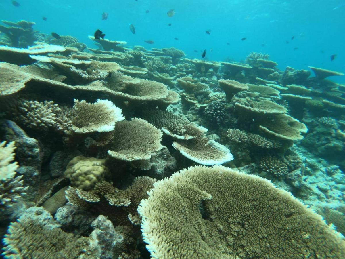 The Sky Maldives Gulhi Εξωτερικό φωτογραφία